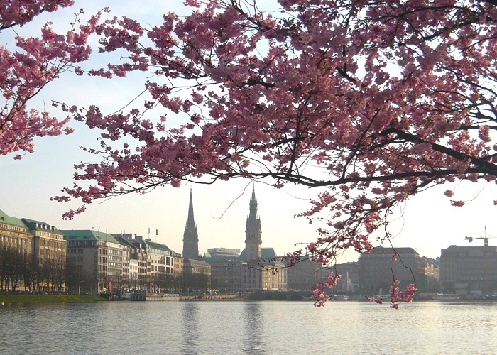 Japanische Kultur -Bentolife Hamburg